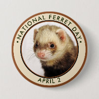 National Ferret Day