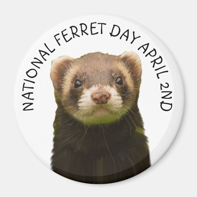 National Ferret Day April 2nd Holiday Magnet (Front)