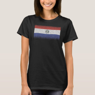 National Flag of Paraguay souvenir  for men women T-Shirt