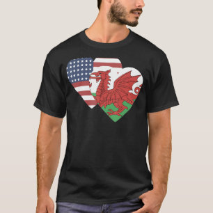 National Flag of Wales souvenir for men women 4 T-Shirt