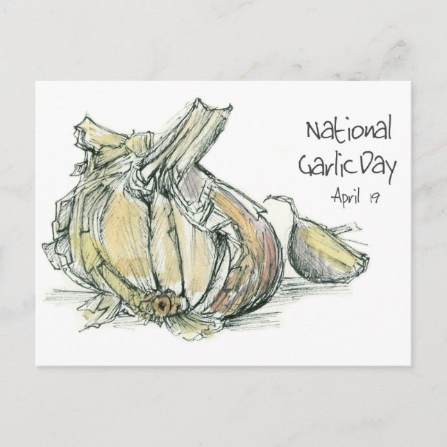 National Garlic Day April 19 Herb Cooking Food Postcard (Front)