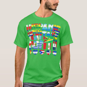 National Hispanic Heritage Month Latino Flags Coun T-Shirt
