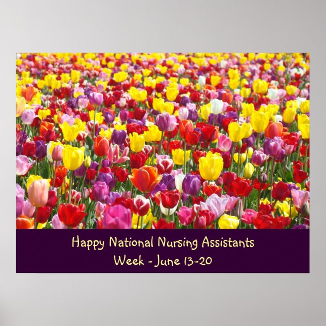 National Nursing Assistants Week posters Thank You (Front)