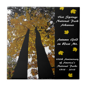 National Park Centennial Hot Springs Autumn Gold Tile