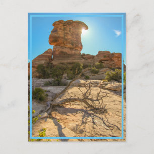 National Park Day! Postcard