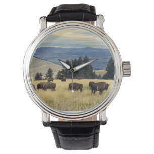 National Parks Bison Herd Watch