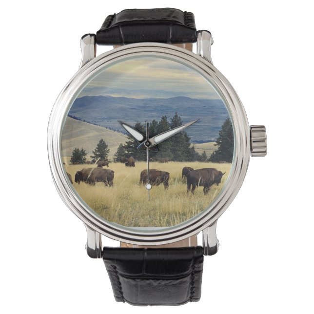 National Parks Bison Herd Watch (Front)