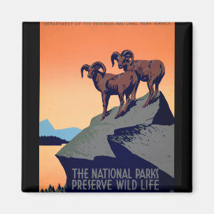 National Parks Magnet