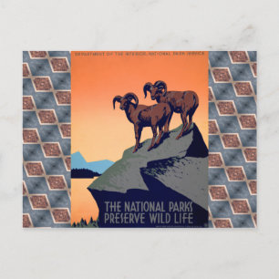 National Parks Postcard