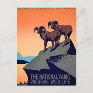 National Parks Postcard