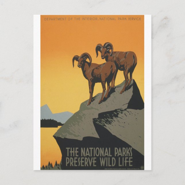 National Parks - Preserve Wild Life Postcard (Front)