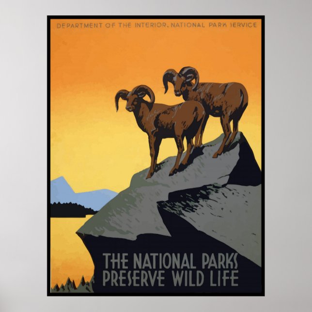 National Parks Preserve Wild Life Poster (Front)