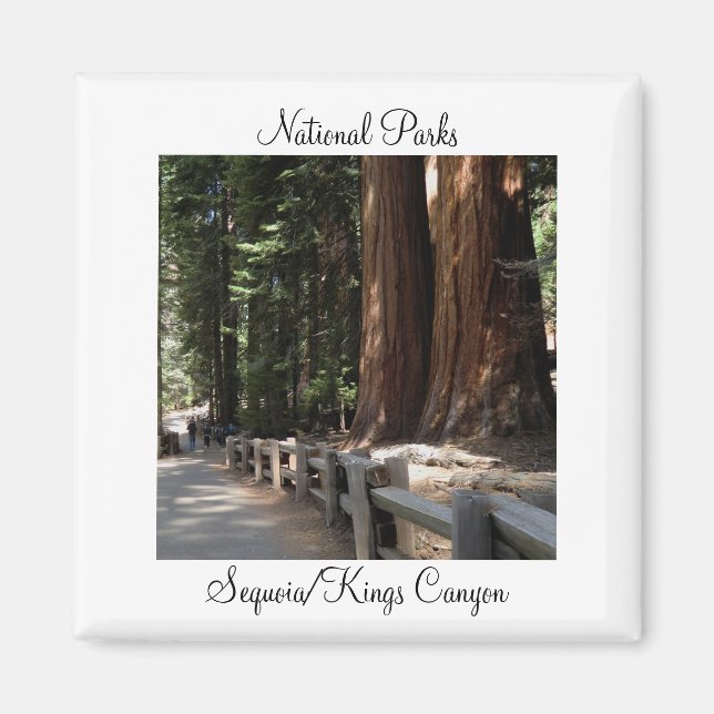 National Parks - Sequoia/Kings Canyon Magnet (Front)