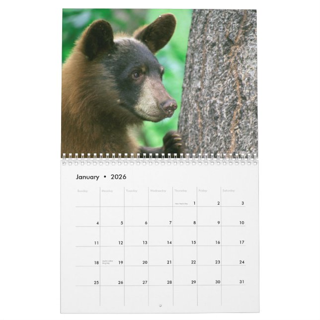 National Parks Wildlife Photograph Calendar (Jan 2026)