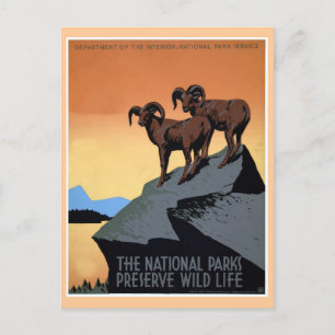 National parks WPA travel poster Postcard
