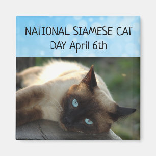 National Siamese Cat Day April 6th Magnet