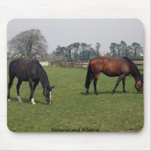 National stud mouse mat
