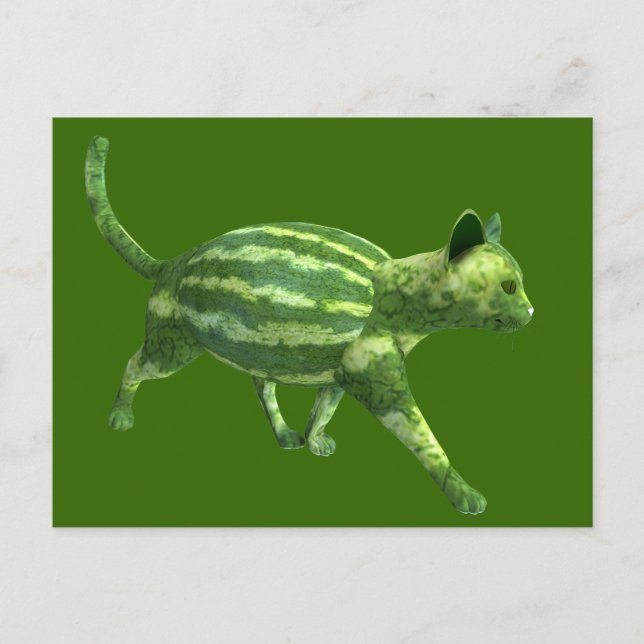 National Watermelon Day Cat Postcard (Front)