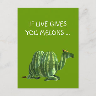National Watermelon Day Dromedary Postcard