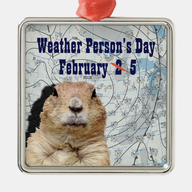 National Weather Person’s Day February 5 Metal Tree Decoration (Front)