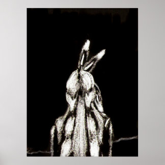 Native American Boy Poster