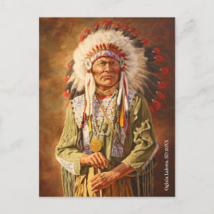 Native American Chief Lakota Postcard