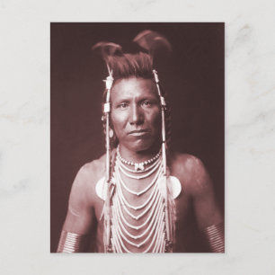 Native American Indian, Ben Long Ear Postcard