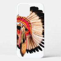 native american indian chief headdress (indian chi