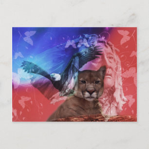 Native American Indian Chief Postcard