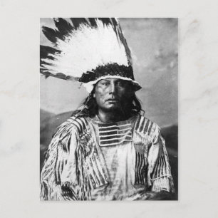 Native American Indian Vintage Portrait Postcard