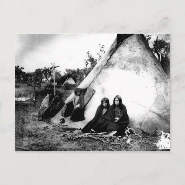 Native American Indian Vintage Portrait Postcard (Front)