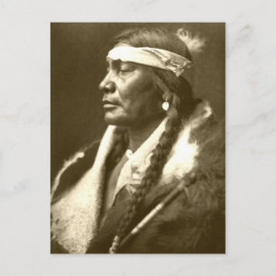Native American Indian Vintage Portrait Postcard