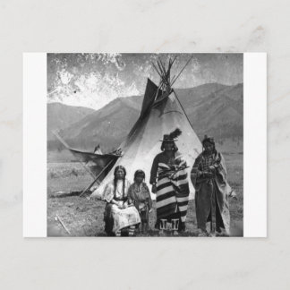 Native American Indian Vintage Portrait Postcard