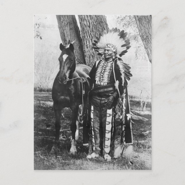 Native American Indian Vintage Portrait Postcard (Front)
