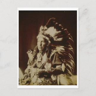Native American Indian Vintage Portrait Postcard