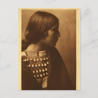 Native American Indian Vintage Portrait Postcard