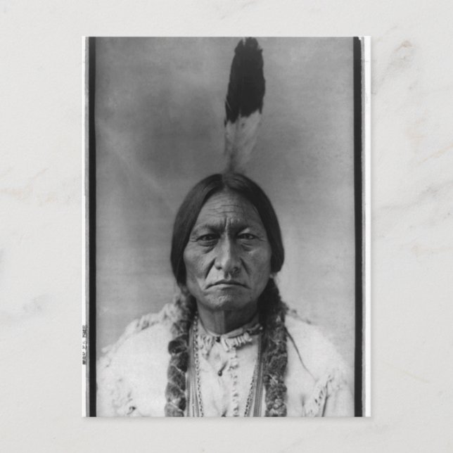 Native American Indian Vintage Portrait Postcard (Front)