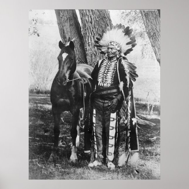 Native American Indian Vintage Portrait Poster (Front)