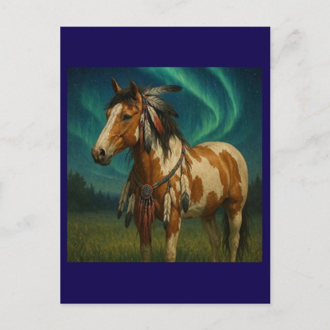 Native American Paint Horse Postcard - Hania (Front)