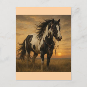 Native American Paint Horse Postcard - Kangee