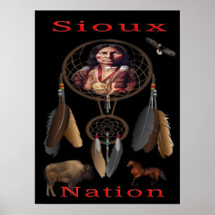 Native American Poster