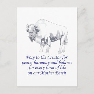 Native American Symbolism Postcard