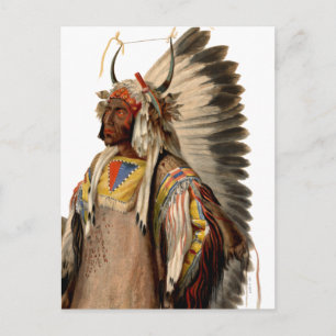 Native American Tribal Indian Chief Head Dress Postcard