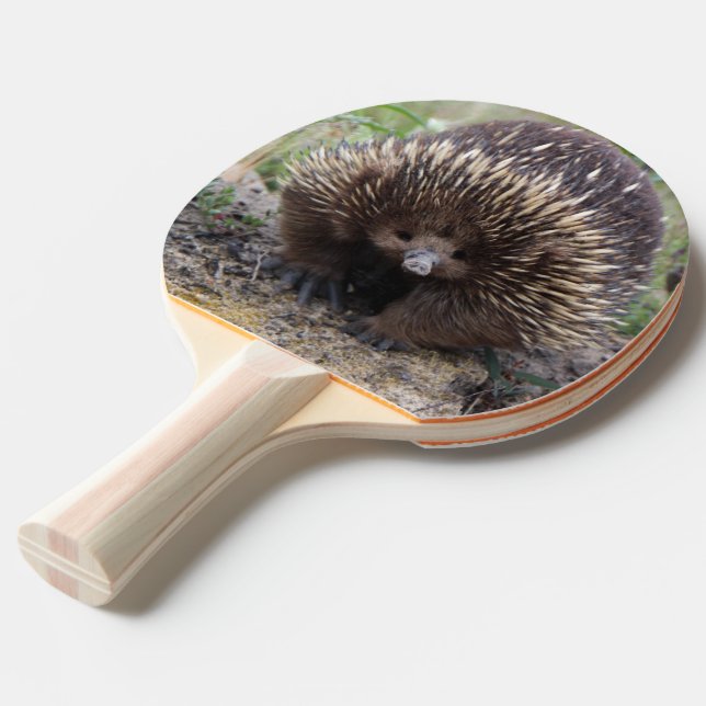 Native Australian Wild Echidna Photo Ping Pong Paddle (Front Angle)
