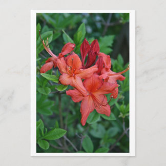 Native Azalea Spring Invitation Card