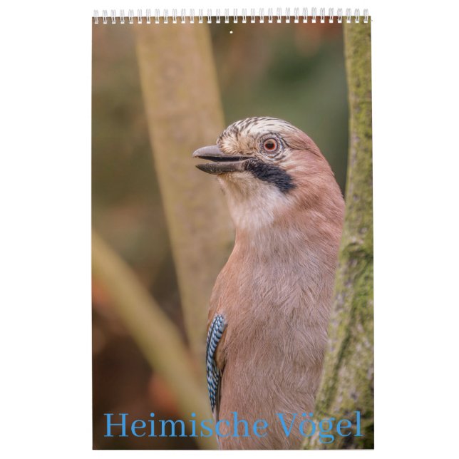 Native Birds Calendar (Cover)