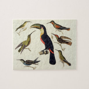 Native birds, including the Toucan (centre), Amazo Jigsaw Puzzle