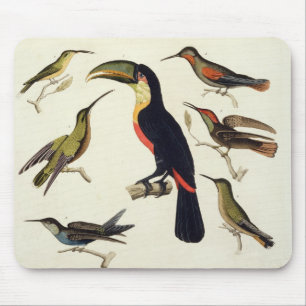 Native birds, including the Toucan (centre), Amazo Mouse Mat