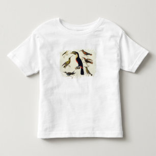 Native birds, including the Toucan (centre), Amazo Toddler T-Shirt