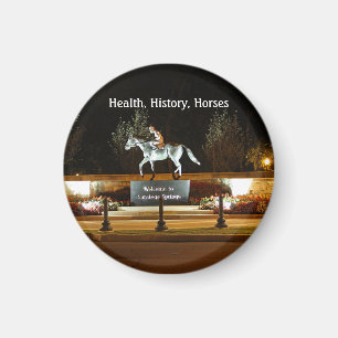 Native Dancer Horse Statue Saratoga Solid Magnet